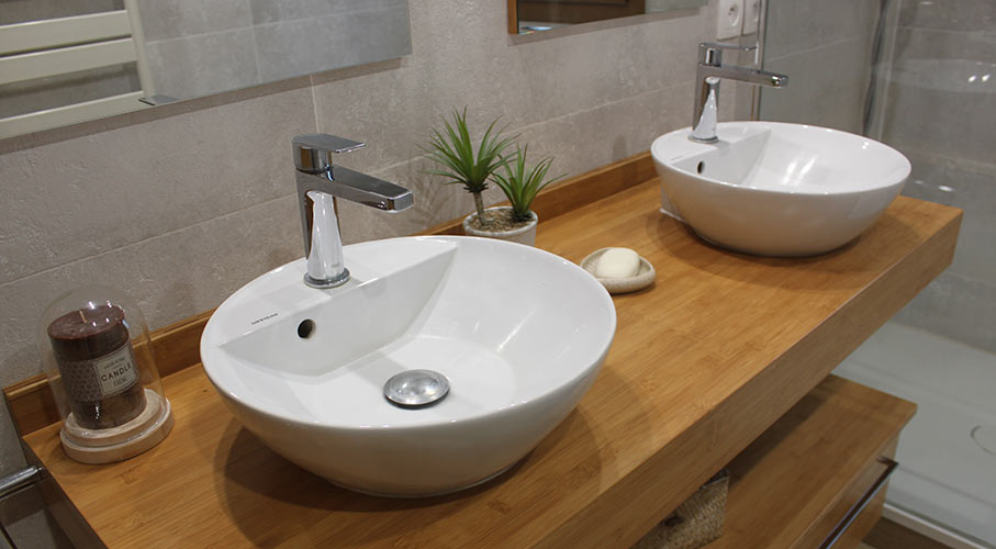 Accessoire salle du bain + plante